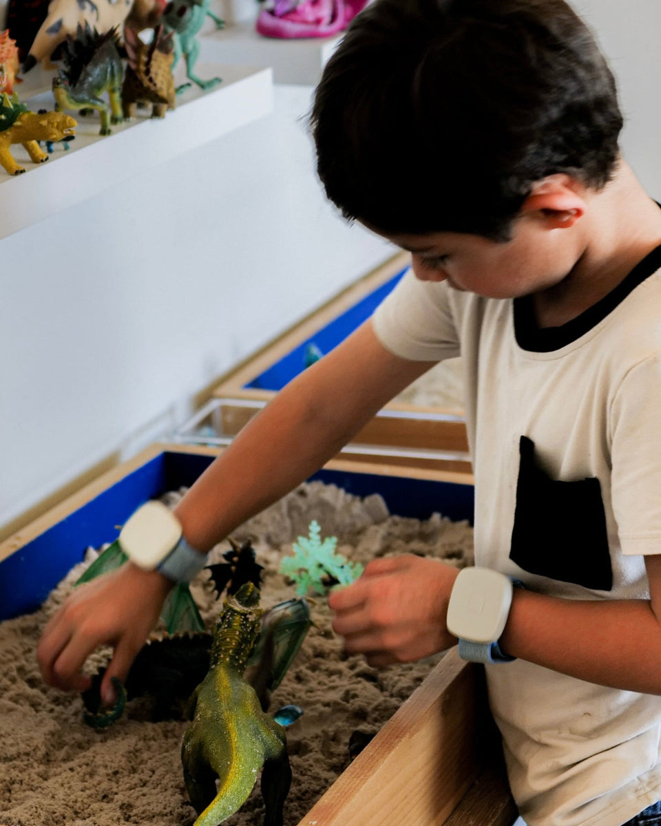 B-Pulse Bilateral Stimulation Tools