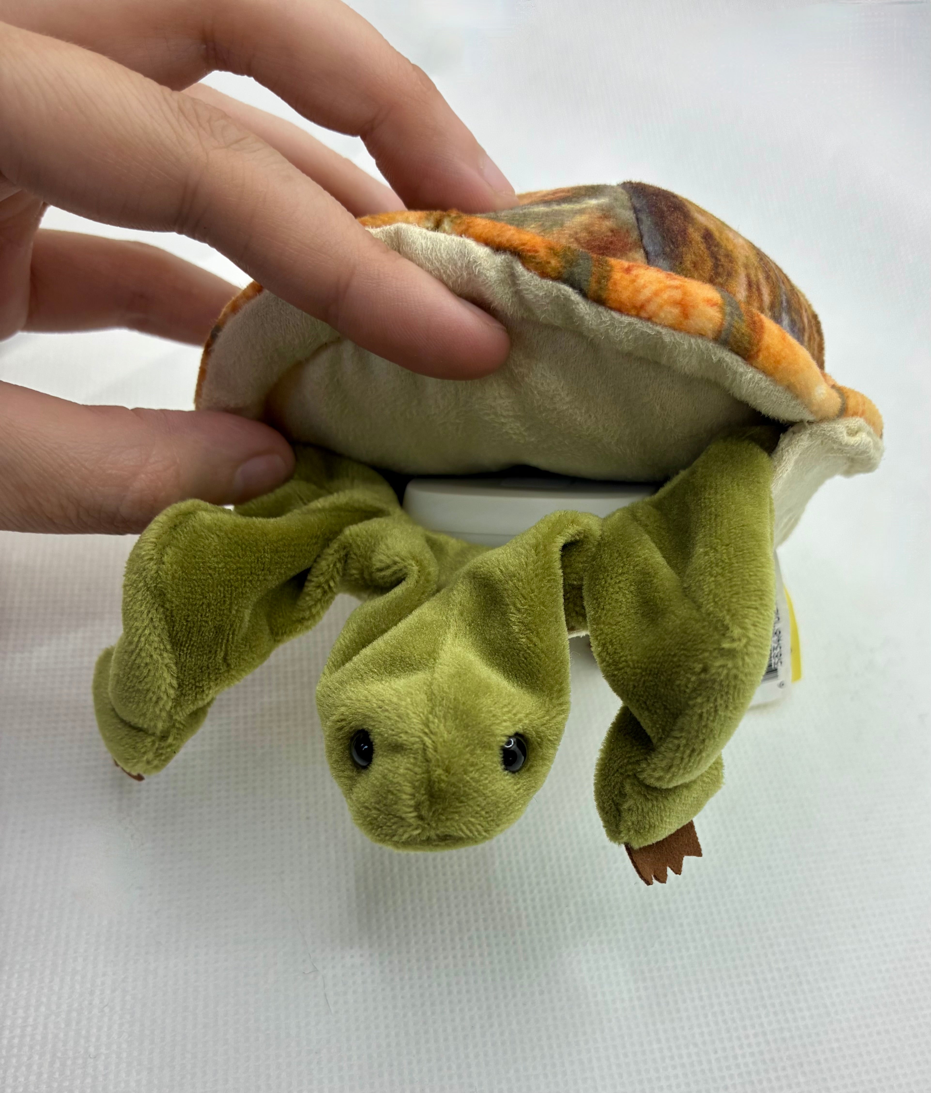 Premium Buzzie Buddies