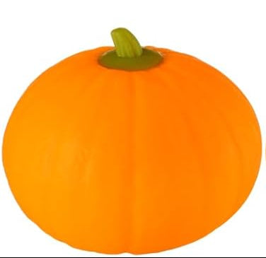 Seasonal Deal